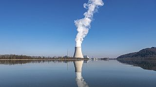 Ülkede nükleerden kaynaklanan açığın yenilenebilir enerjiyle kapatılması bekleniyor