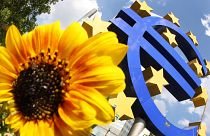 FILE - The July 5, 2012 file photo shows a sunflower sitting in front of the Euro sculpture in Frankfurt, Germany.