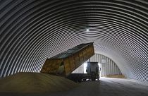 Auch die Slowakei will Getreideimporte aus der Ukraine verbieten.
