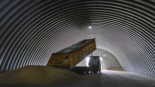 Auch die Slowakei will Getreideimporte aus der Ukraine verbieten.