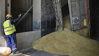 The EU has suspended import duties and quotas on Ukrainian exports, including grain, to the bloc.