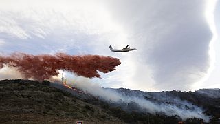 طائرة قاذفة مائية تحاول السيطرة على حريق اندلع في غابة جنوب فرنسا، 16 أبريل 2023.