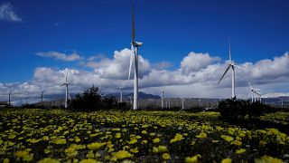 Wind turbines stand in fields near Palm Springs, California