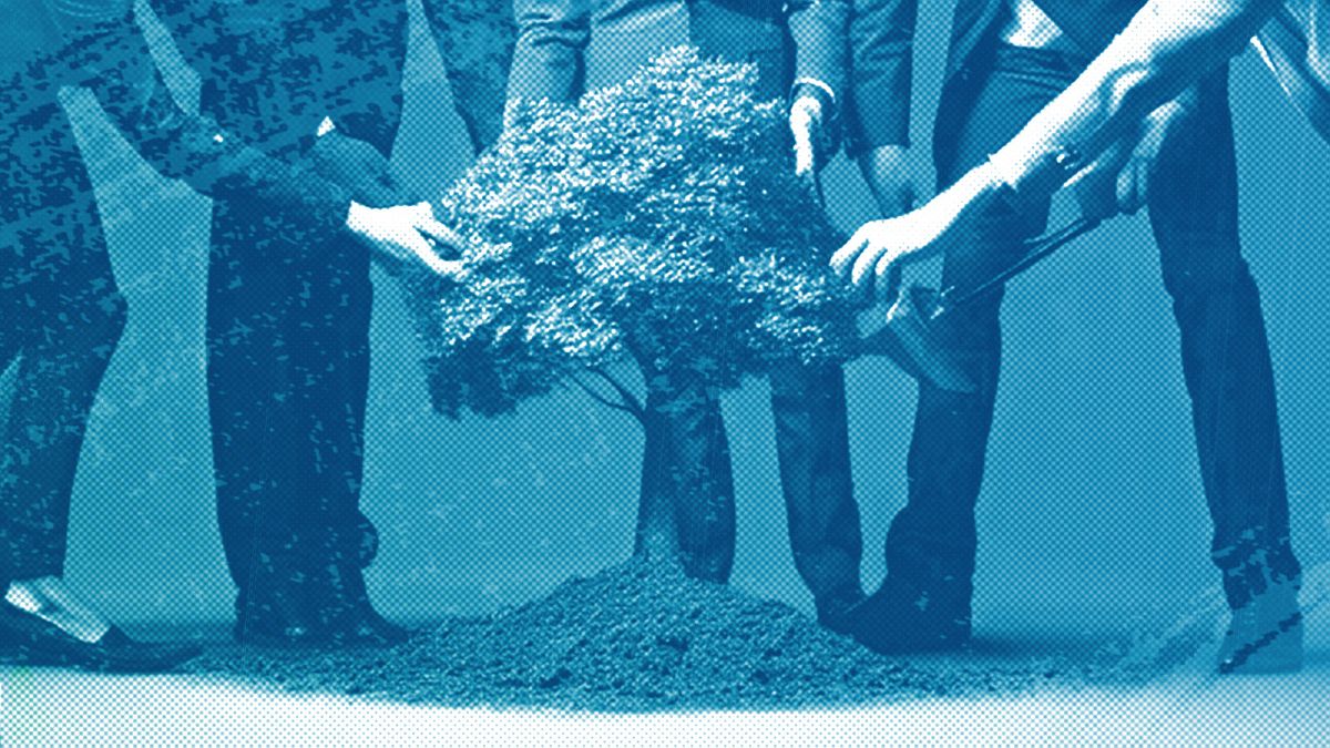 Businesspeople planting a tree