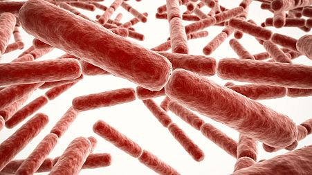 Infections that resist antibiotics.