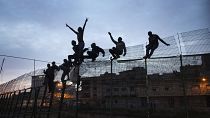 Des migrants subsahariens escaladent la clôture métallique qui sépare le Maroc de l'enclave espagnole de Melilla, le 29 mars 2014.