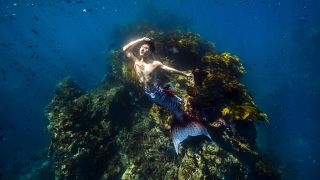 Yingtao Lei mermaids in Poor Knights Islands Marine Reserve