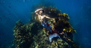 Loved The Little Mermaid? How and where to try out 'mermaiding ...