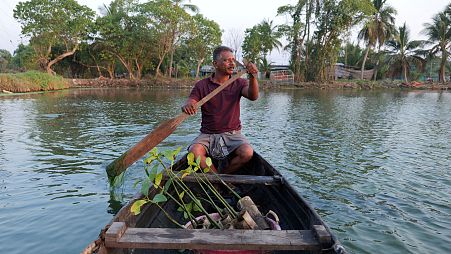 Known locally as Mangrove Man, Murukesan has turned to planting the trees along the shores of Vypin Island in Kochi, Kerala state, India.