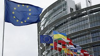 Strazburg'da bulunan Avrupa Parlamentosu binası önünde dalgalanan AB ve üye ülkelerin bayrakları