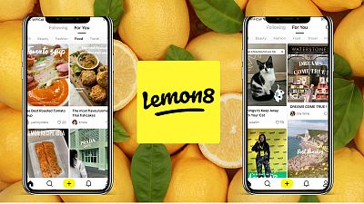 Tiktok's new sister app, Lemon8