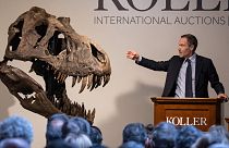 Üç farklı dinozor kemiğinden oluşan iskelet İsviçre'de açık arttırmada 5,5 milyon İsviçre Frangına satıldı