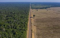 Highway BR-163 stretches between the Tapajos National Forest, left, and a soy field in Belterra, Para state, Brazil on Nov. 25, 2019.