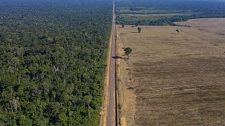 Highway BR-163 stretches between the Tapajos National Forest, left, and a soy field in Belterra, Para state, Brazil on Nov. 25, 2019.