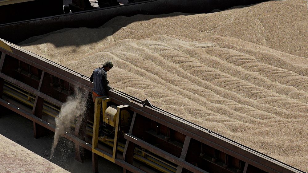 EU-led talks to lift bans on tariff-free Ukrainian grain fail