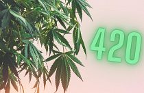420 is internationally recognised as the weed smokers' number