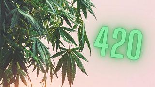 420 is internationally recognised as the weed smokers' number