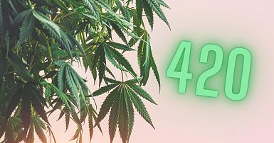 The Real History Behind 4/20
