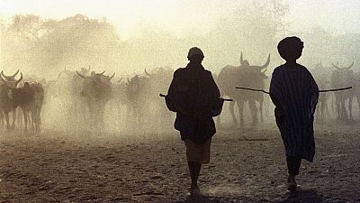 Mali: Cattle theft to fund jihadists