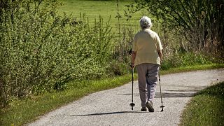 Investigação pode ajudar a retardar o processo de envelhecimento
