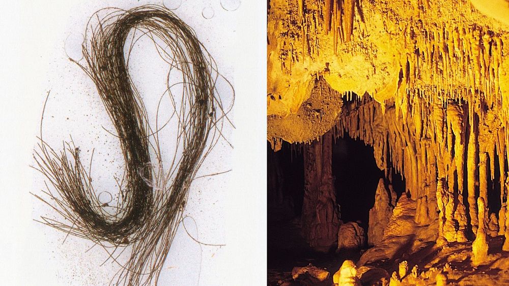 3,000-year-old human hair provides first proof of drug use in Europe