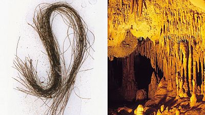 Human hair strands deposited in the trilobed container (left) and Inner chamber of Es Càrritx cave (right)
