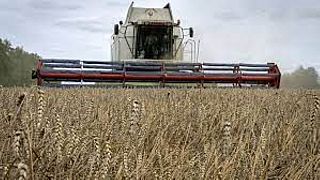 The European Commission is due to rule on Ukrainian grain transit next week