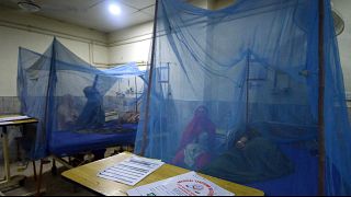 Pakistan'da dang humması hastanesi (arşiv)