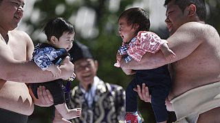 Síró csecsemők egy baba szumóversenyen Tokióban 2016. április 29-én 