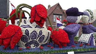 La parata dei fiori, nei Paesi Bassi.
