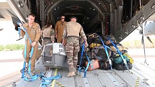 military personnel load belongings of evacuees onto a plane at the airport in Khartoum, Sudan, on Sunday, April 23, 2023.