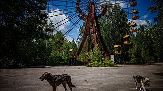 La routa panoramica abbandonata a Pryp"jat', città nei pressi della centrale di Chernobyl, evacuata e abbandonata per sempre nel 1986