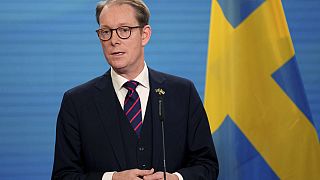 Der schwedische Außenminister Tobias Billström