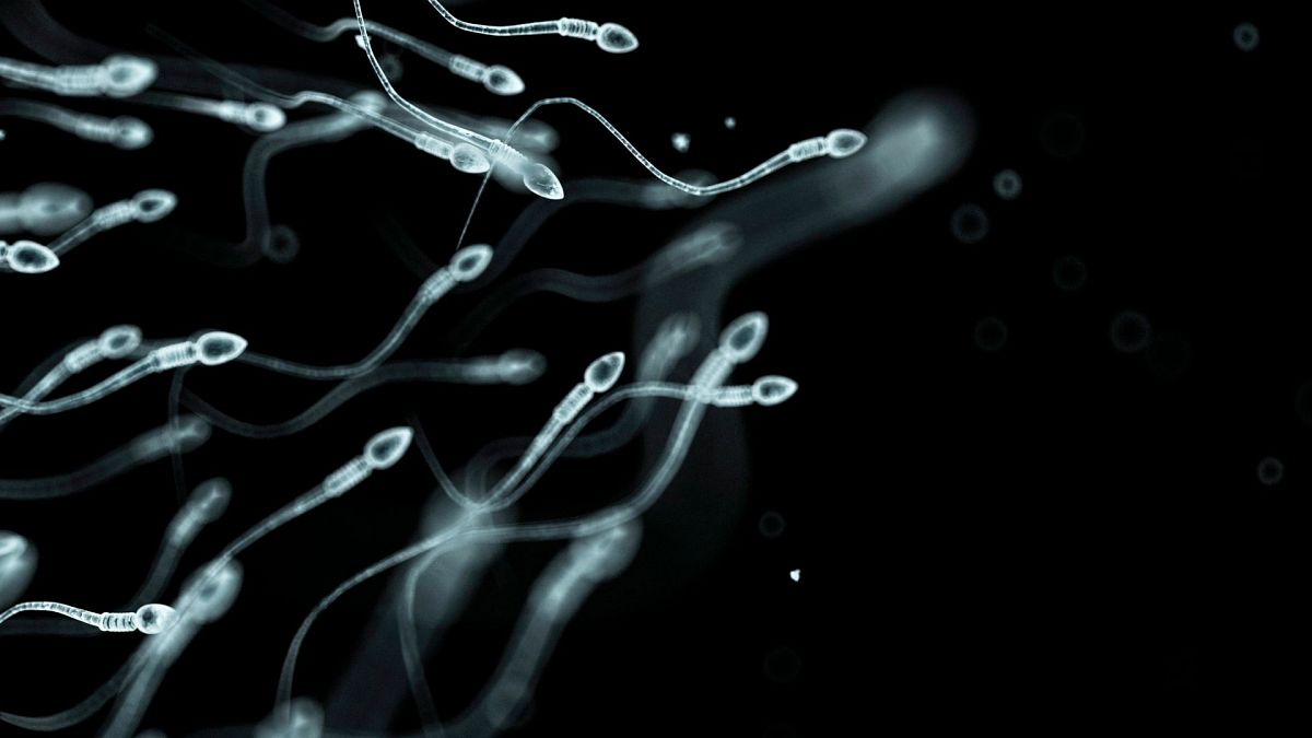 Investigadores identificaram os fatores de risco mais elevados para os danos nos espermatozóides, num contexto de queda das taxas de fertilidade masculina
