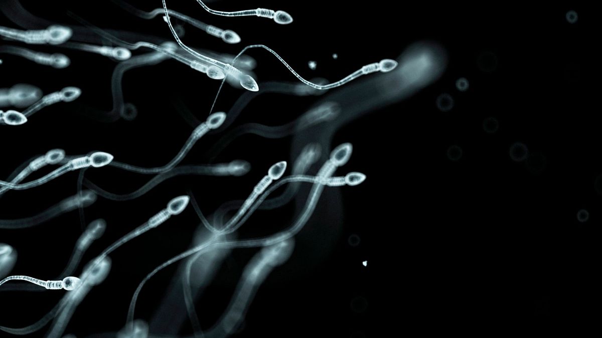 Researchers have pinpointed the highest risk factors for sperm damage amid falling male fertility rates