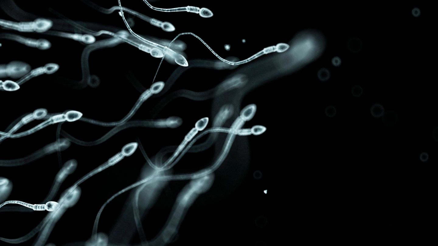 Порно Минет море спермы