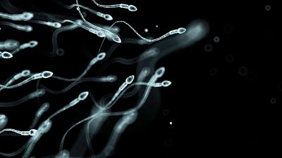 Investigadores identificaram os fatores de risco mais elevados para os danos nos espermatozóides, num contexto de queda das taxas de fertilidade masculina