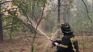 رجل إطفاء يحاول إخماد حرائق الغابات في منطقة ريازان، روسيا. 2022/08/23