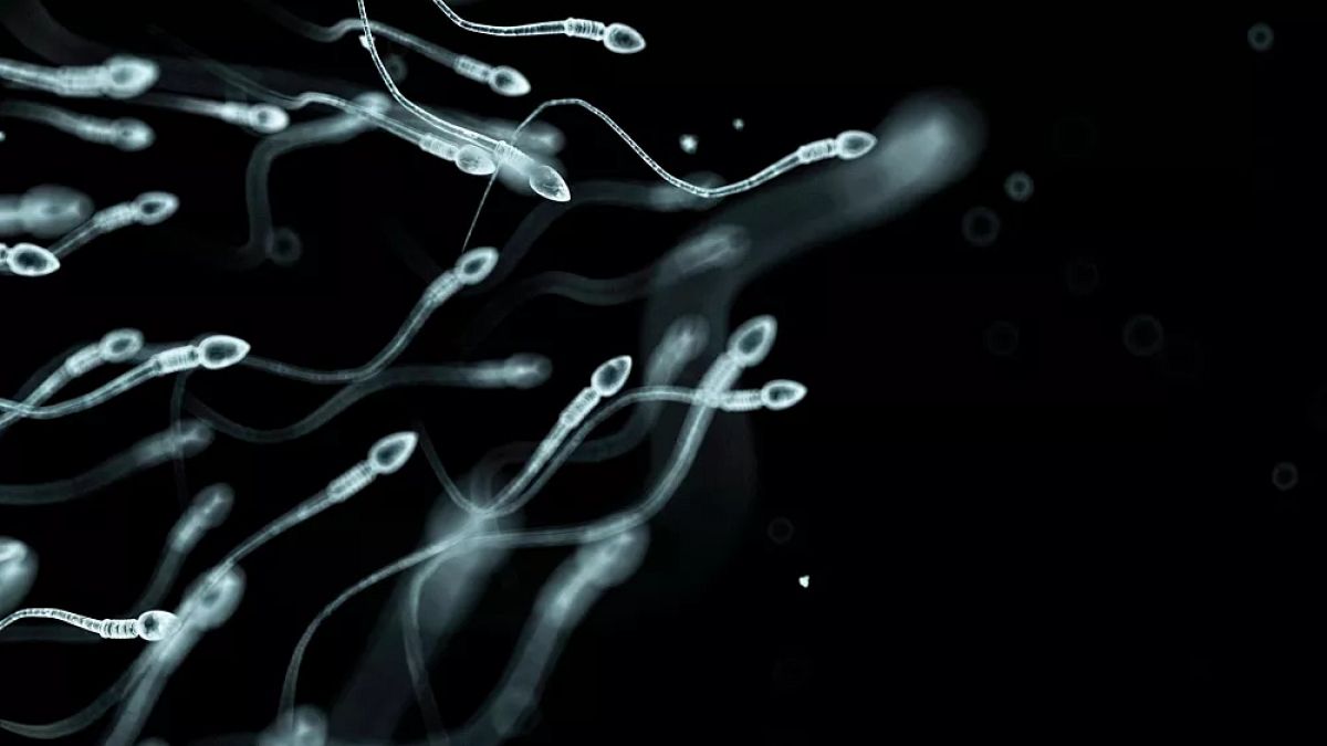 Araştırmacılar sperm hasarına ilişkin en büyük risk faktörlerini tespit etti