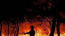 От природных пожаров в Свердловской области пострадали семь посёлков, сгорело почти полторы сотни жилых домов