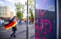 Almanya: AfD'nin gençlik teşkilatı 'teyit edilmiş' aşırılık yanlısı örgüt listesine alındı 