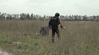Soldados ucranianos trabalham na desminagem de algumas zonas