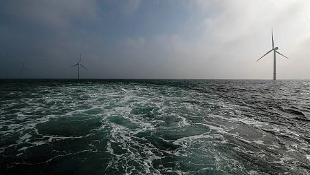 Power-generating windmill turbines are seen at the Eneco Luchterduinen offshore wind farm near Amsterdam, Netherlands.