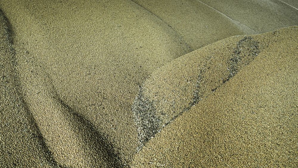 EU countries back tariff-free system for Ukrainian grain, despite bans