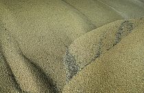 A isenção de tarifas pazra cereais e outros produtos ucranianos está a ter impacto negativo nalguns países europeus