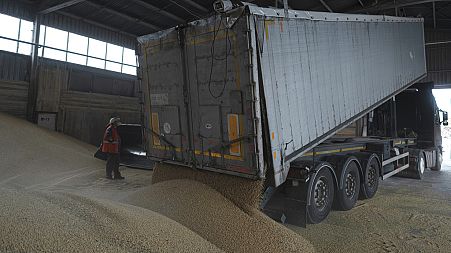 A truck unloads grain at a grain port in Izmail, Ukraine, Wednesday, April 26, 2023. 