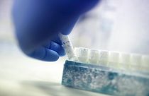 Frozen sperm in a laboratory.