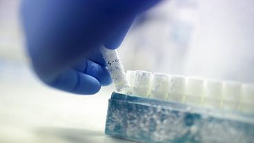 Frozen sperm in a laboratory.
