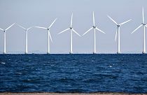 Denmark is a leader in renewable energy.