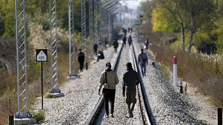Migránsok sétálnak a szerb-magyar határ szerbiai oldalán, Horgosnál